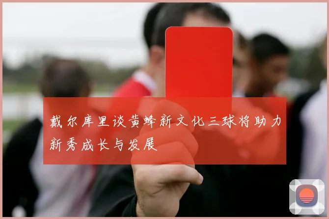戴尔库里谈黄蜂新文化三球将助力新秀成长与发展